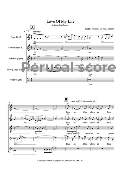 Love Of My Life SATBB