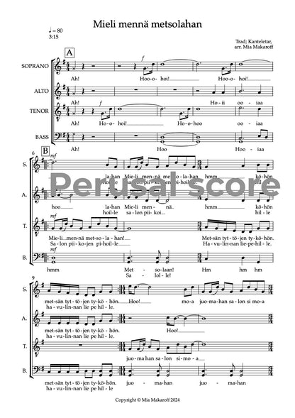 Mieli mennä metsolahan SSATB