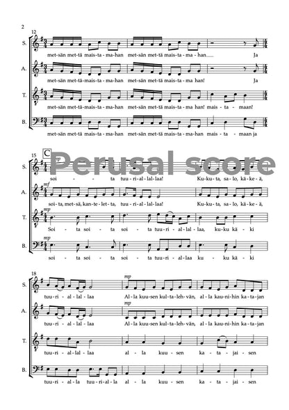 Mieli mennä metsolahan SSATB