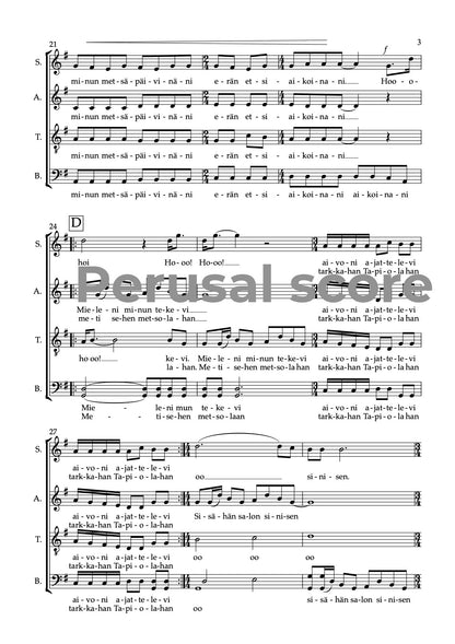 Mieli mennä metsolahan SSATB